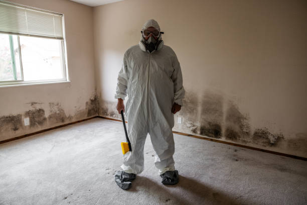 Best Mold Testing and Removal  in Mccord, OK