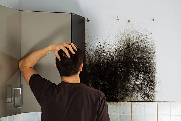 Best Same-Day Mold Removal  in Mccord, OK